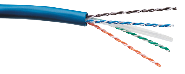 cat6.png
